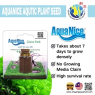 AQUANICE AQUATIC PLANT SEED