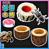 B Windy Life [Dongdong Wooden Pile🌳] Candle Holder Beetle Jelly Holder Jelly Holder Beetle Jelly Hol