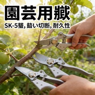 pruning pruning pruning shears shears shears pruning shears pruning pruning pruning pruning dedicate