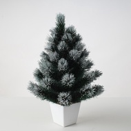 Small Christmas Tree/Mini/Table/Nice Christmas Tree Cool Christmas Tree Snow Christmas Tree 30cm Viral!!