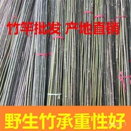 QM🎯 Bamboo Pole Vegetable Rack Bamboo Small Bamboo Pole Vegetable Climbing Vine Bamboo Rack Vegetable Garden Rack Beans 