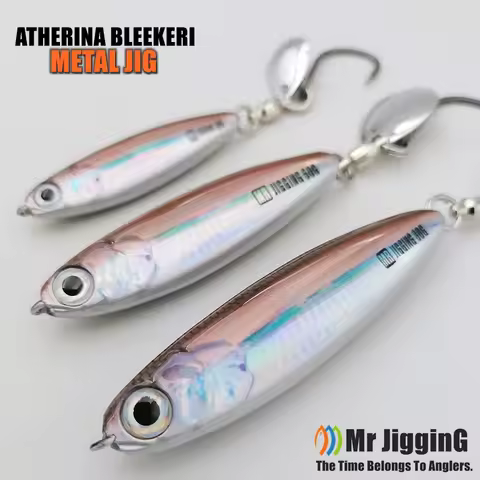 2025 New Super Short Arherina Bleekeri Metal Jigs 30g/40g/60g/80g Spanish Mackerel Katsuo Lure Sea F