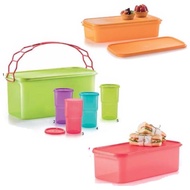 Set level carry all set tupperware