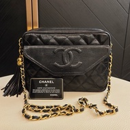 Chanel 蜥蜴皮 相機包