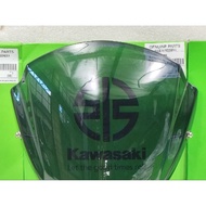 DT181306 Windshield Dominar400