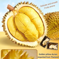 High quality fresh freeze-dried durian