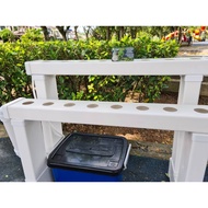 Hydroponic NFT 2-tier system (16 pots)