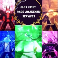 Blox Fruit Race Awakening v4 Service
