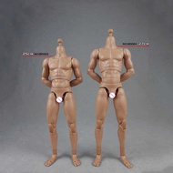 1/6 Muscle Male Body Bd001 Bd002 Bd003 Bd007 Bd008 Bd009 Bd010 Wide Shoulder Normal/High Version La