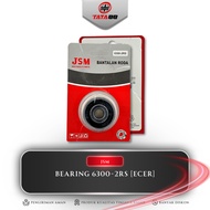 [RETAIL] BEARING 6300-2RS JSM - BEARING LAHER PRESS 6300-2RS