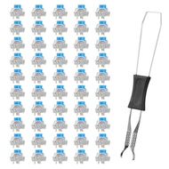 Top Blue Clicky 3 Pin Mechanical Keyboard Switches 50 PCS Dustproof Keyboard Clicker Key Replacement