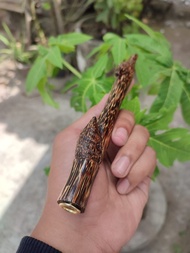 pipa once kayu liwung macan model pring petuk / bambu petuk 12 cm