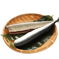 【小川漁屋】野生秋刀魚36尾(80g~100g/尾/3尾1包_去頭去肚)