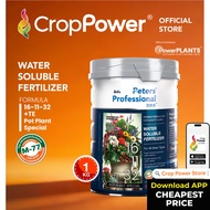 (1 KG) Baja Paksa Buah Peters Professional Larut Air Fruiting Fertilizer Pot Plant Special 16-11-32+