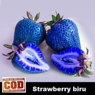 [Free gift]STRAWBERRY BIRU - 100 biji / bibit / benih STROBERI / STRAWBERRY / STROBERY - seeds Buah 