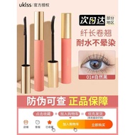 Ukiss Eyelash Primer ukiss Mascara Water-Resistant Sweat-Resistant Long-Length Curling Long-Las