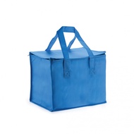 Bag2u【COOLER VER.3】Fresh Food Ice Bag Cooler Bag