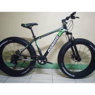 Asbike fatbike