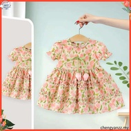 Baby Girl Flower Dress Summer New Countryside Style Children'S Clothing (9 Months -4 Years Old)