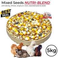 [LOCAL SELLER] CHEAPEST CHICKEN FEED GRAIN MIX CORN WHEAT SEEDS PEAS 5kg