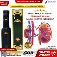 Obat Ginjal Herbal Paling Ampuh - Obat Ginjal Bocor - Batu Ginjal - Ginjal Bengkak - Infeksi Ginjal 