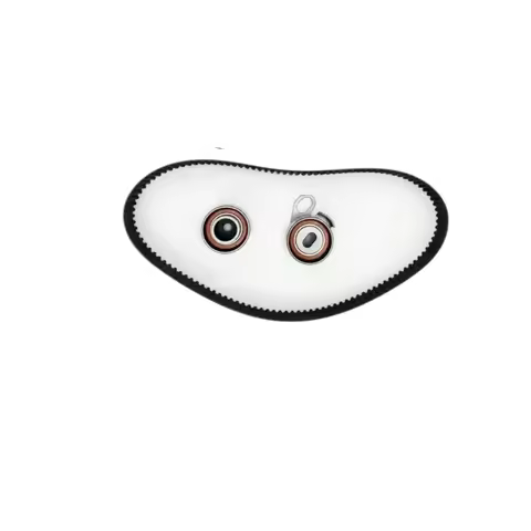 Kit timing belt JMC N601 N900