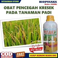 PUPUK OBAT PADI KRESEK DAUN BIO PUSAKA 500ML Obat Pencegah Penyakit Kresek Daun Padi Paling Ampuh - Obat Alami Penyakit Kresek Pada Tanaman Padi - Obat Untuk Mengatasi Kresek Pada Tanaman Padi yang Bagus dan Manjur