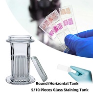 Glass Staining Cylinder 5/10pcs Glass Slide Staining Cylinder Round/Horizontal Cylinder