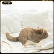 [qjypno49] Plush Toys 14.17'' Animal Chinchilla Baby