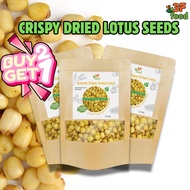 [BUY 1 GET 1]Roasted Lotus Seeds | Healthy Snack | High Fiber, Low Fat Dried Rotus Seed r