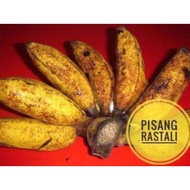 Anak Pokok Pisang Rastali / Pokok Kelat Keling / Pisang Meda / Benih Pisang / Anak Pokok