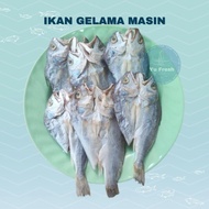 Ikan Gelama masin sungai yu
