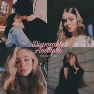 DISPOSABLE AESTHETIC / MOBILE LIGHTROOM PRESETS