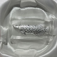 O Pure Silver Gold Arowana 9999 Japanese Pure Silver Koi999912354698521
