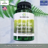 อาหารเสริม เห็ดหางไก่งวง Turkey Tail Mushroom 1g 120 Capsules - Swanson