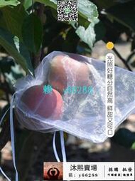 水果套袋防鳥防蟲專用網袋葡萄無花果楊桃釋迦果石榴橙子保護袋子