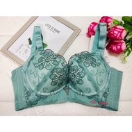 36B/80B XINMEITING GREEN