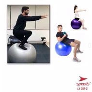 Gym Ball/Fitness Ball