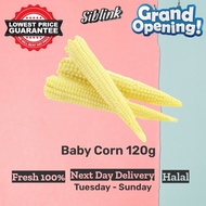 Fresh Baby Corn 120g Harga Pasar Borong SAYURAN SEGAR Vegetables Wholesale Murah Grocery Segar Baran