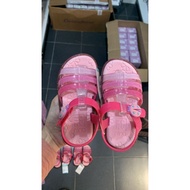 Zaxy joaninha dahlia zaxy beetle dahlia pink