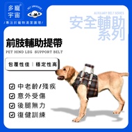 [More Pet Universe] Dog Auxiliary Belt/Pet Belt/Old Belt/Auxiliary Belt/Dog Auxiliary/Pet Auxiliary/