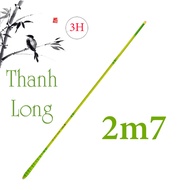 Cần câu tay Thanh long 3H câu đơn cá rô diếc chép nhiều độ dài 2m7-3m6-3m9-4m5-5m4-6m3 CĐ-6