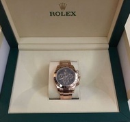 ROLEX 玫瑰金 daytona 朱古力 116505