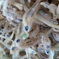 Ikan Bilis Mata Biru