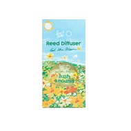 King's Stella x Give me museums คิงส์สเตลล่า ฟีล เดอะ บลูม ก้านไม้หอมปรับอากาศ Feel The Bloom Reed D