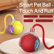 Automatic ball toy for cats, ball toy for dogs and cats, self-playing ball for pets.