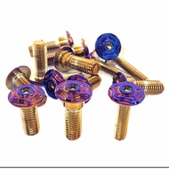 SKRU Disc Plate SCREW CUSTOM Titanium Blue Gold M6x25mm M8x25mm