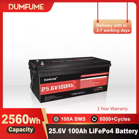 Dumfume 24V 100Ah Lifepo4 Lithium Battery 100A BMS 12V 600Ah/12V 314Ah/12V 100Ah/36V 100Ah Battery S