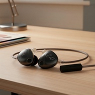 KZ Castor 2DD Tunable Wired IEM & TWS Earbuds: HiFi Stereo, Waterproof, Stable HD Calls, Long Playti