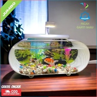 Best Seller Aquarium /Akuarium Akrilik Jumbo Ukuran 35X15X15 Lengkap